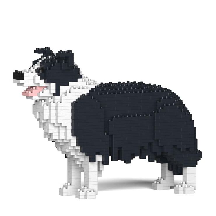 Jekca Border Collie