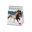 Calendario mesa Legami 12X14 2024 Horses