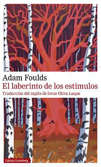 El laberinto de los est&iacute;mulos