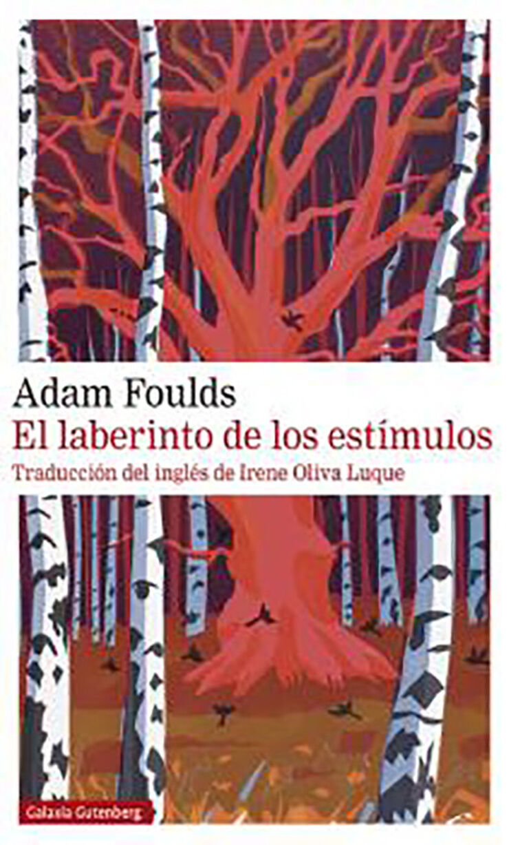 El laberinto de los est&iacute;mulos