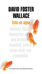 Esto es agua Esto es agua