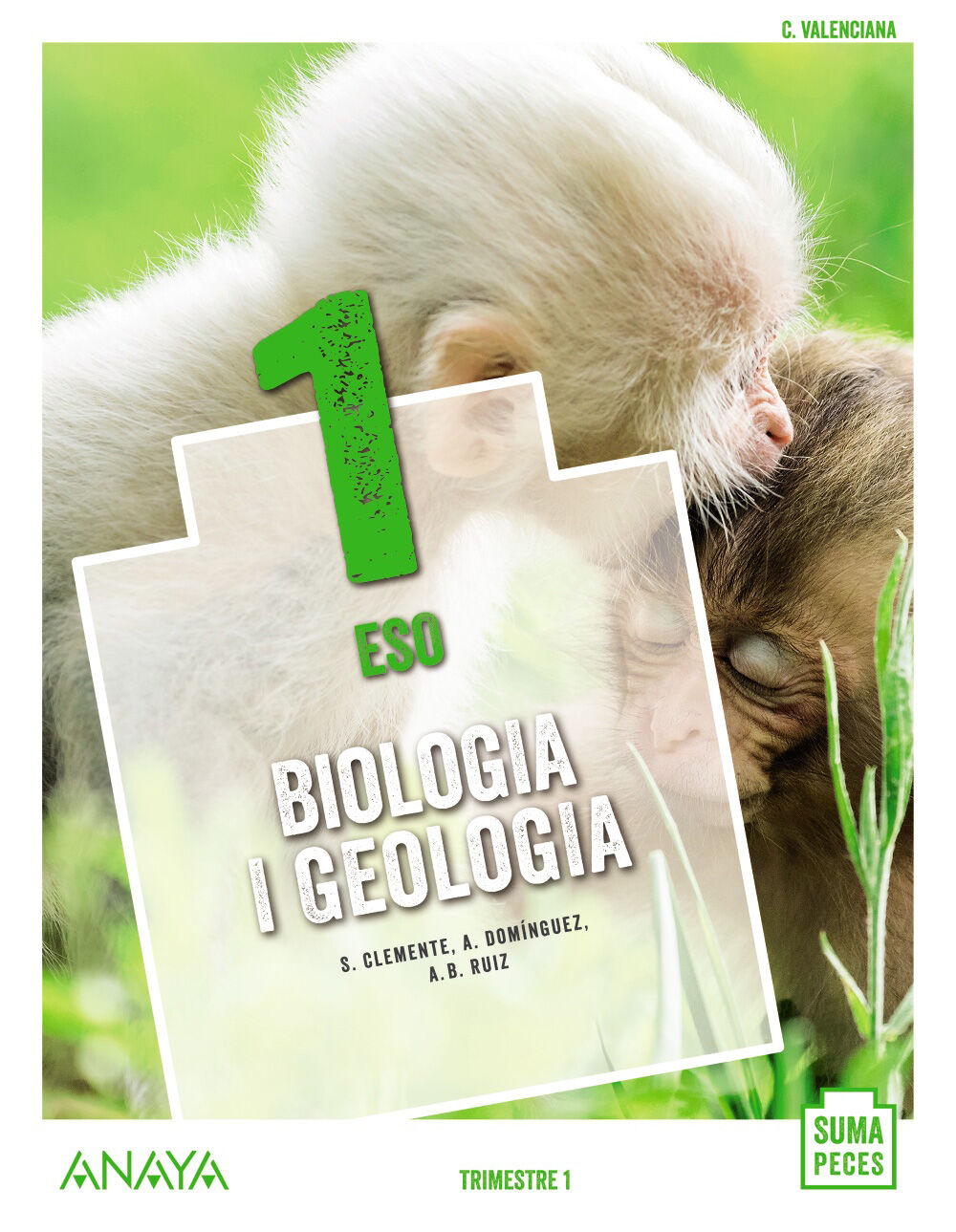 Biologia I Geologia/20 Eso 1 Anaya Text 9788469869840