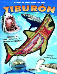 Tiburón Tiburón