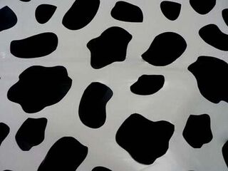 Bolsa disfraz Coimbra Pack 55x70cm vaca 10u Bolsa disfraz Coimbra Pack 55x70cm vaca 10u