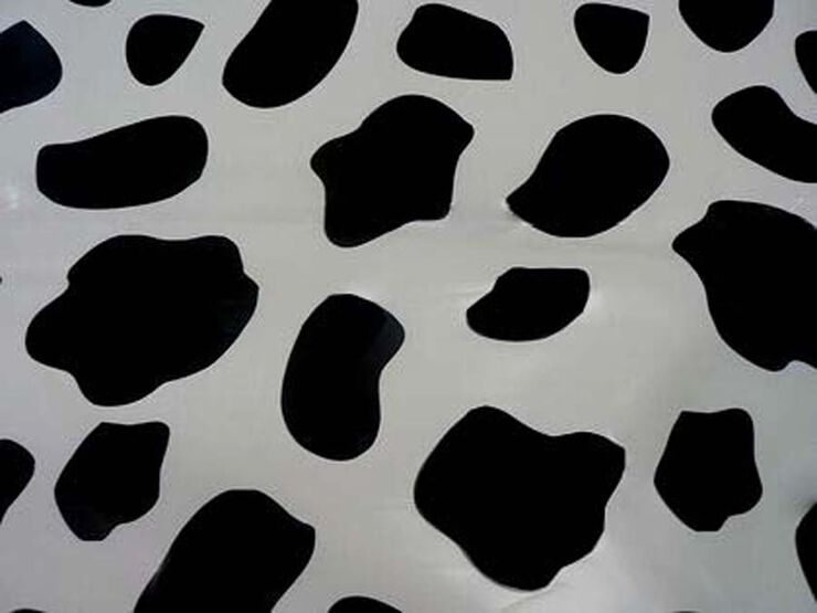 Bossa disfressa Coimbra Pack 55x70cm vaca 10u