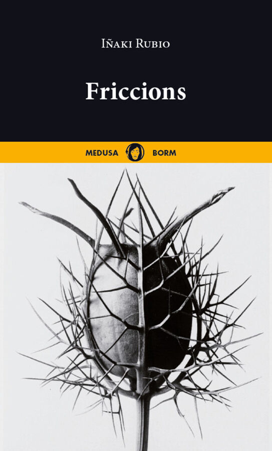 Friccions