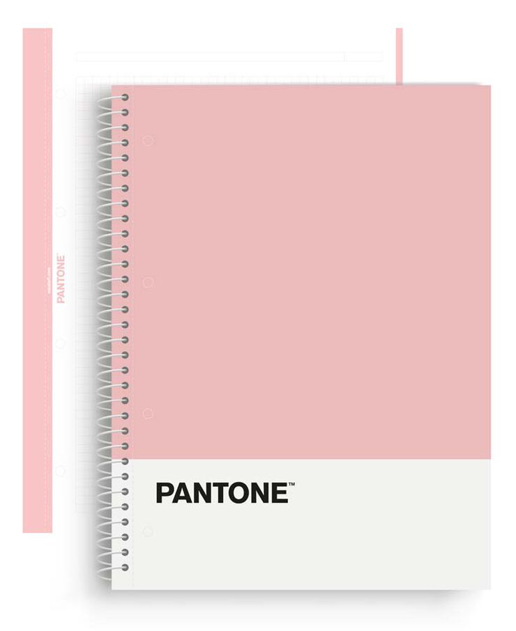 Note Book Pantone A4 80H Rosa