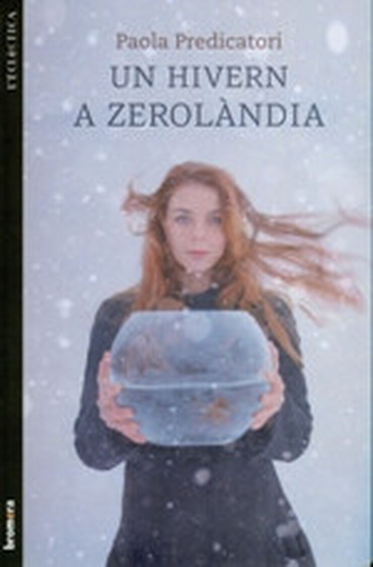 El Meu hivern a Zerolàndia