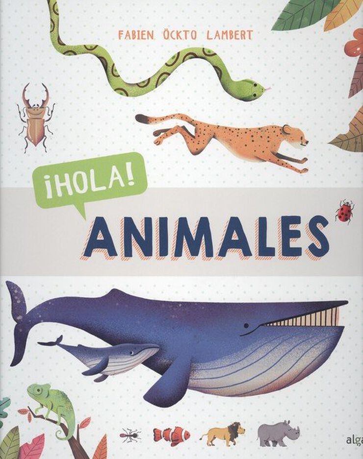 ¡Hola! Animales