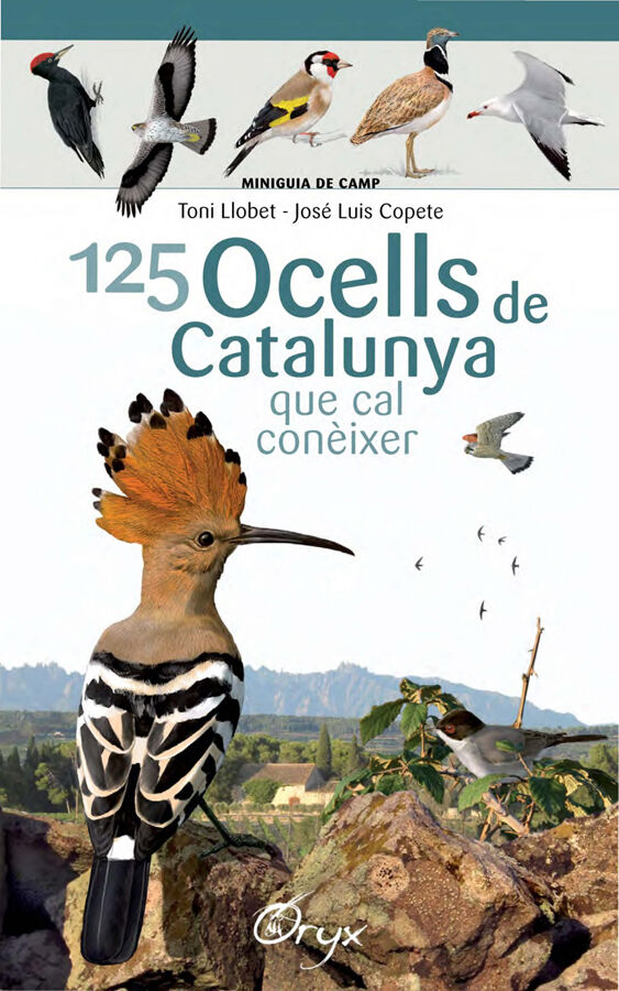 125 ocells de Catalunya