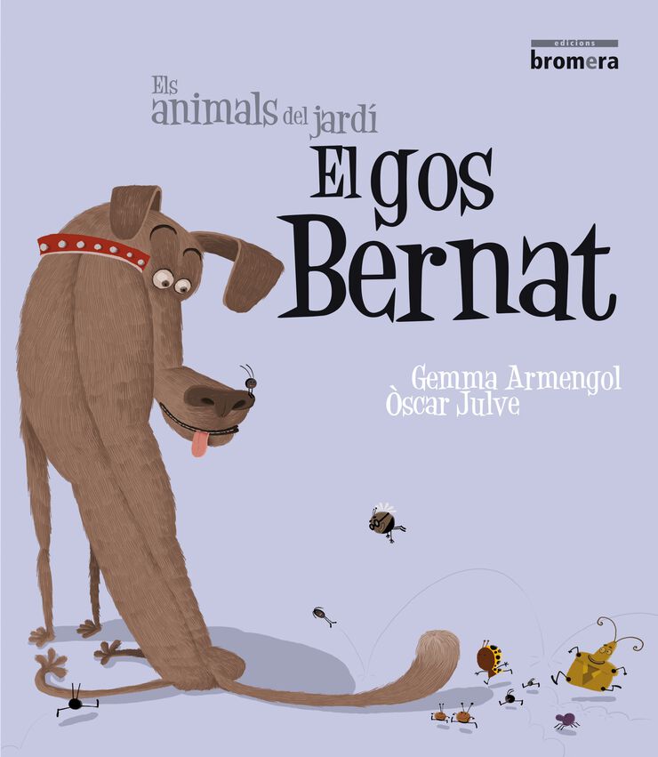 Gos Bernat, El