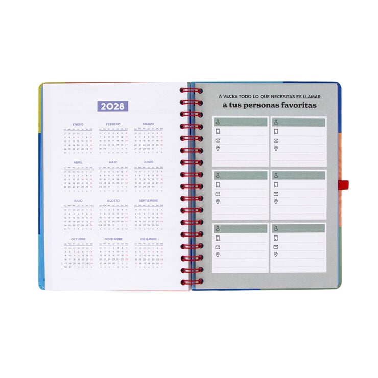 Agenda Mr. Wonderful Semana Vista Castellano En Mi Mundo 2027