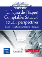 La figura de l'expert comptable. Situaci
