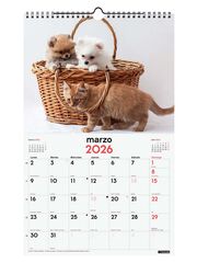 Calendario pared Finocam 25x40 2026 Gosso y Gatos castellano