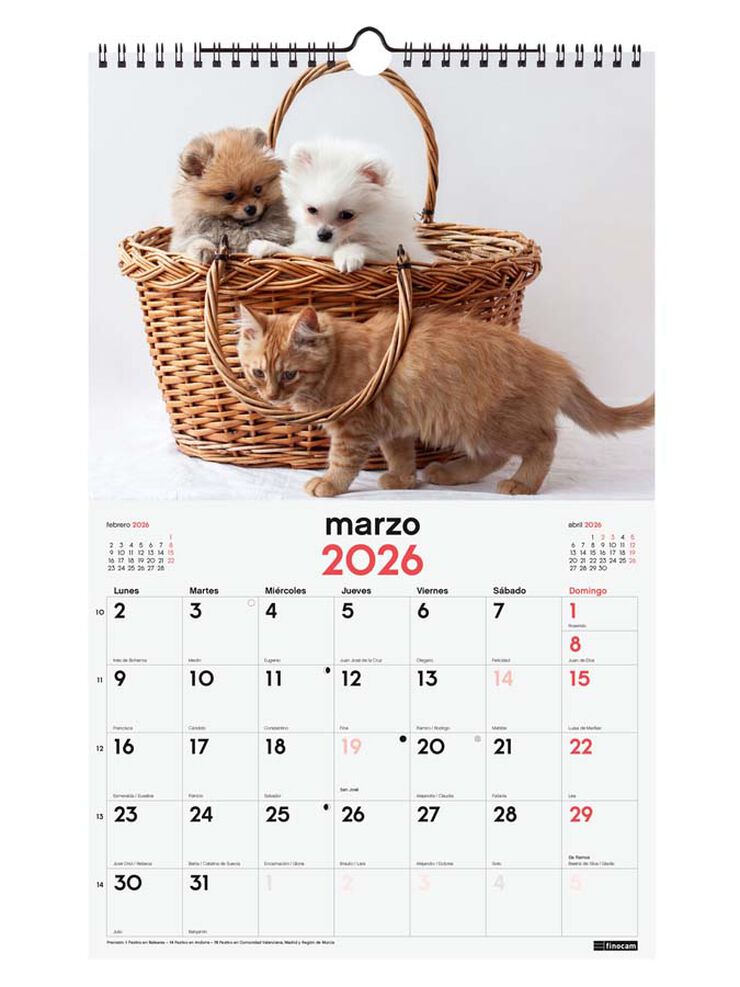 Calendario pared Finocam 25x40 2026 Gosso y Gatos castellano