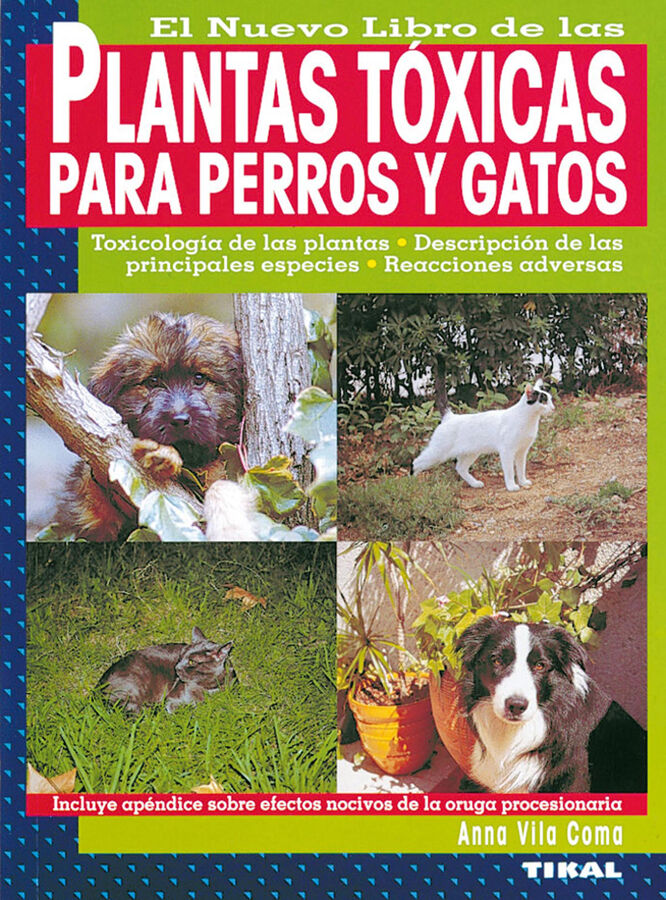 Plantas t&oacute;xicas para perros y gatos