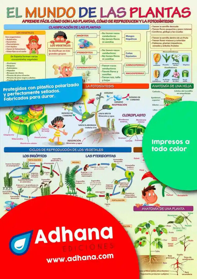 ADHA Mundo de las plantas