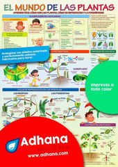 ADHA Mundo de las plantas