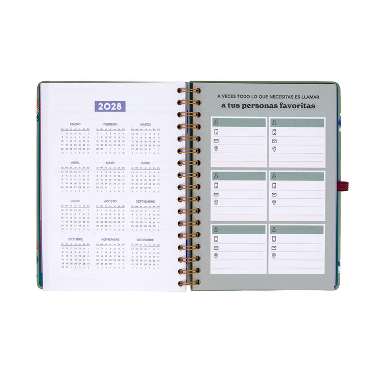 Agenda Mr. Wonderful Semana Vista Castellano Entre Rutinas 2027
