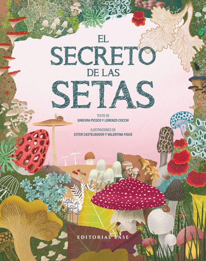 El secreto de las setas