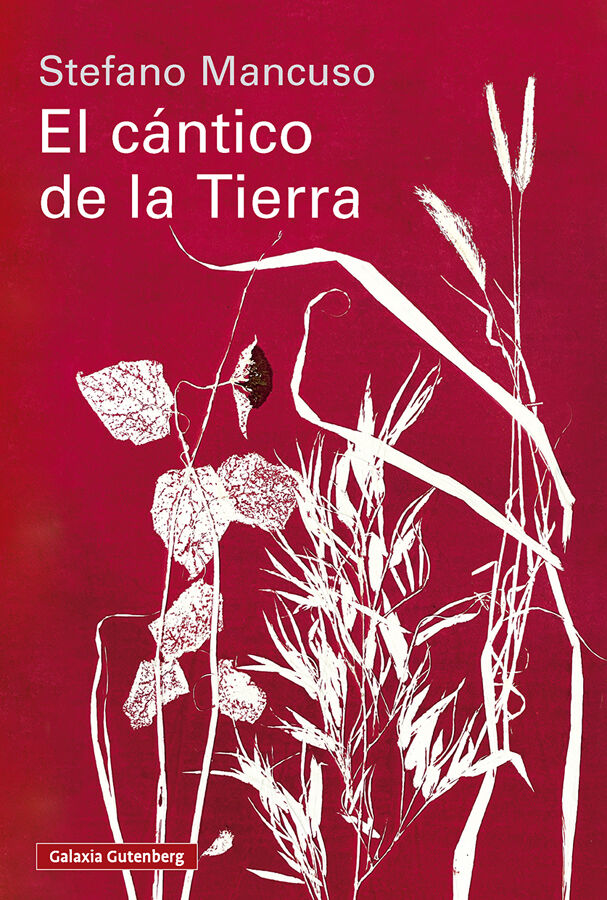 El c&aacute;ntico de la Tierra