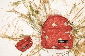 Mochila PC Eastpak Day Pak'r Van Gogh Red