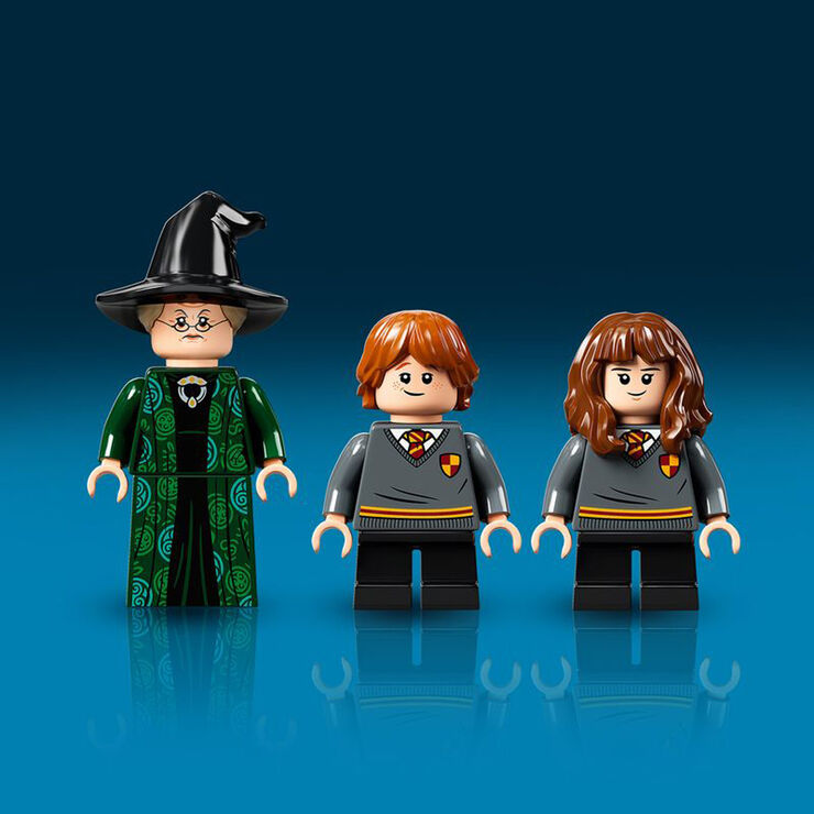 LEGO® Harry Potter Momento Hogwarts™: Clase de Transfiguración 76382