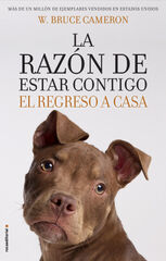 La razón de estar contigo. El regreso a La razón de estar contigo. El regreso a