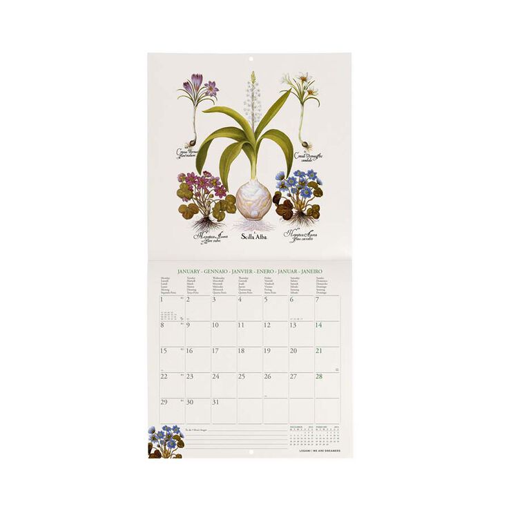 Calendario pared Legami 18X18 2024 Herbarium