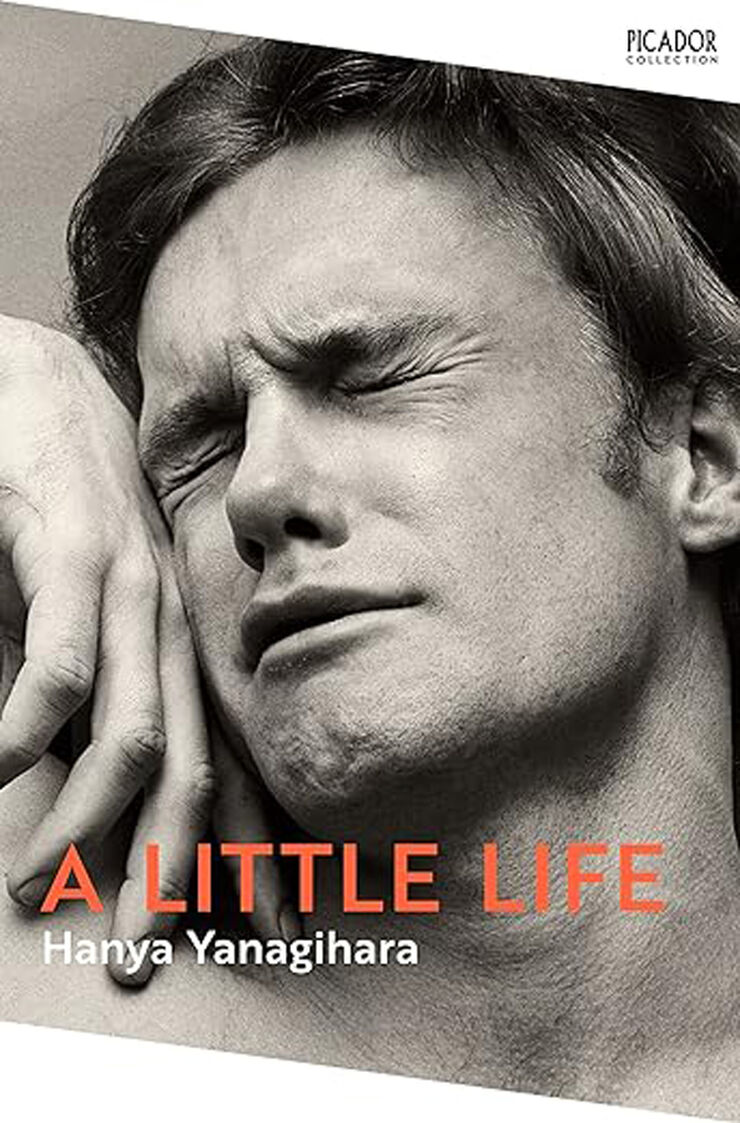 A little life
