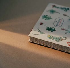 Libreta Artesanal A5 Kokonote Botanical Cacti and Succulents