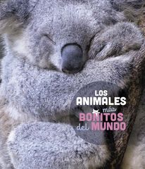 Los animales más bonitos del mundo Los animales más bonitos del mundo