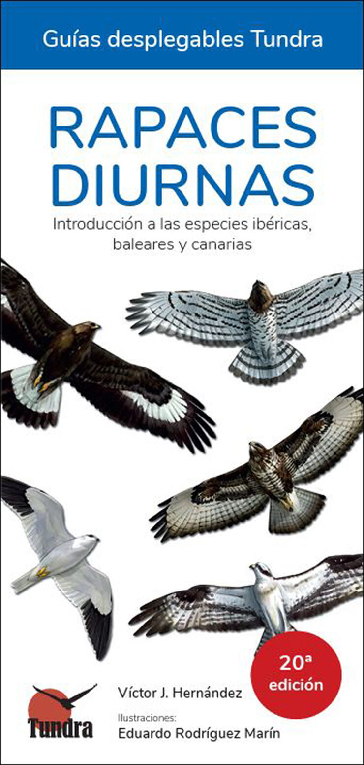 Rapaces diurnas. Introducción a las especies ibéricas, baleares y canarias - 20ª EDICIÓN