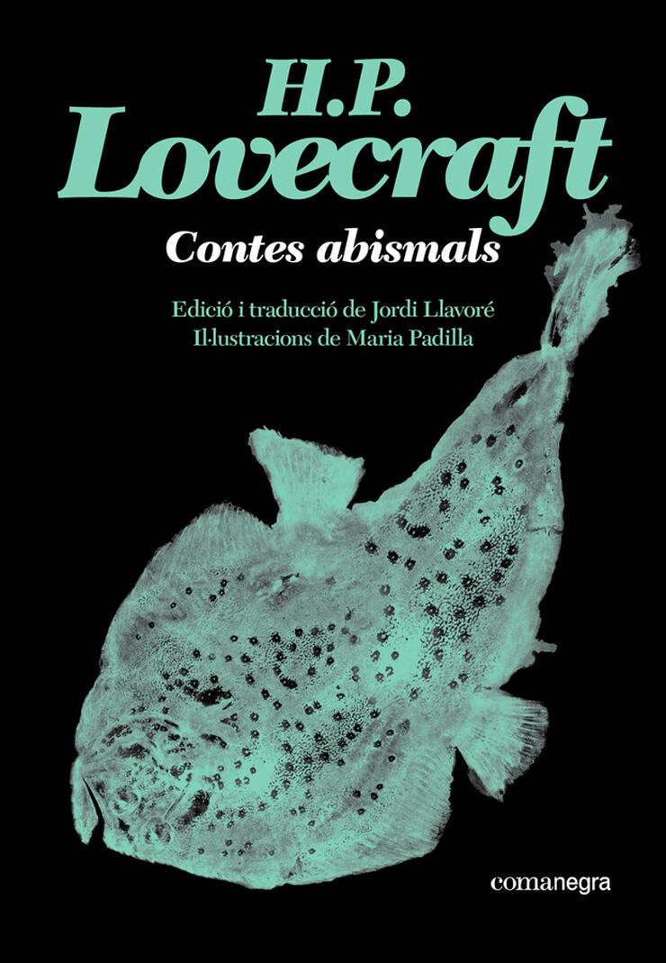 Contes abismals