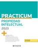 Practicum Propiedad Intelectual 2023 (Papel + e-book)