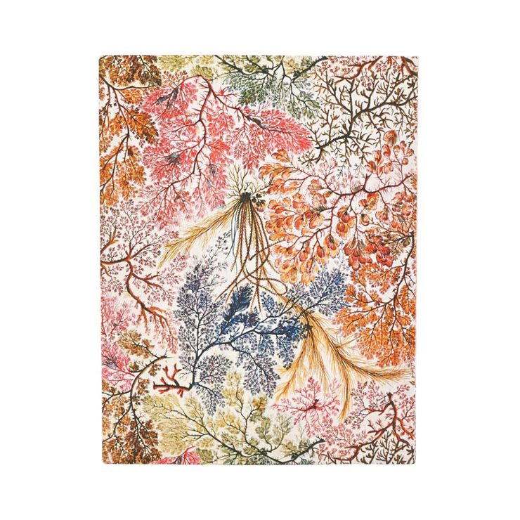 Agenda Paperblanks Professional Flexi Anèmones Ultra setm/vista cas 2026