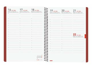 Agenda Finocam 16 mesos Ikon E10 setm/vista vertical mult 2025-26 burdeus