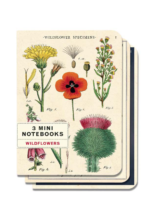 Set 3 Mini Llibreta Cavallini Wildflowers