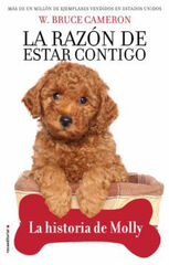 La razón de estar contigo La razón de estar contigo