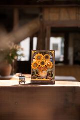 Maqueta Rowood Gira-sol