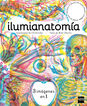 Ilumianatomía