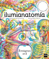 Ilumianatomía