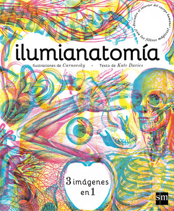 Ilumianatomía