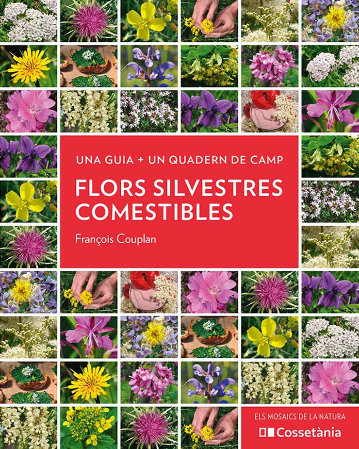 Flors silvestres comestibles