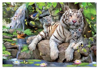 Puzle 1000 peces tigres blancs de Bengala