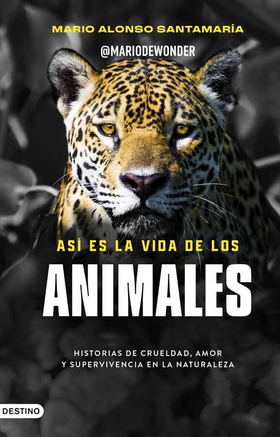 As&iacute; es la vida de los animales