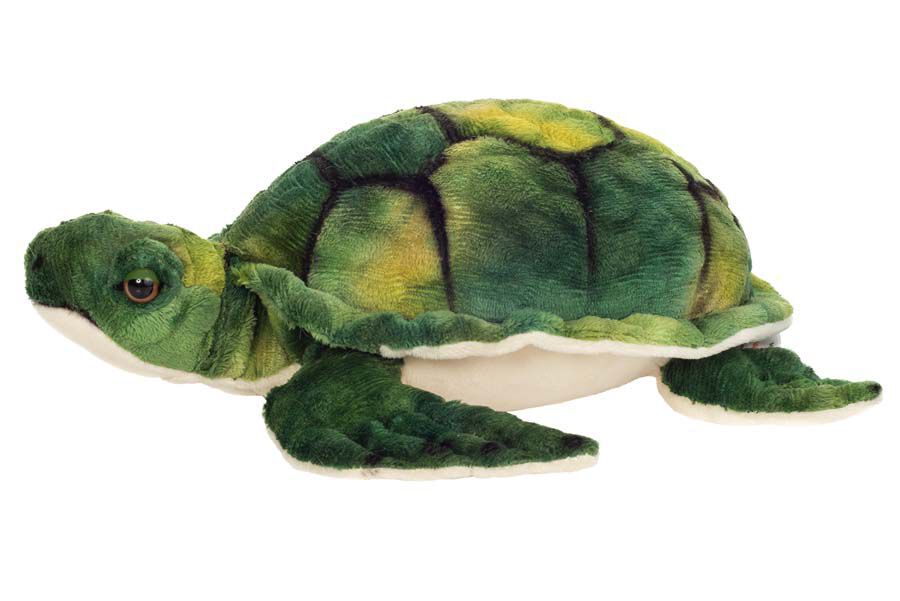 Tortuga