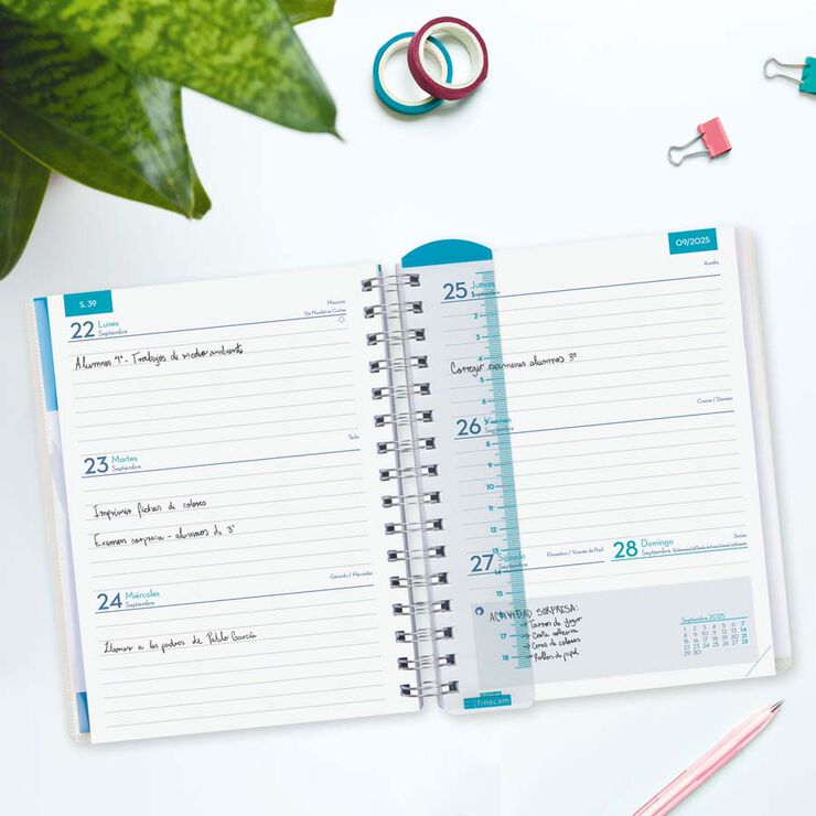 Agenda Finocam docente Magistral personalizable 1/4 sem/vista cas 2025-26 Mandala