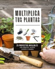 Multiplica tus plantas Multiplica tus plantas