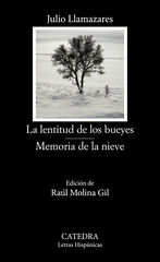 La lentitud de los bueyes, Memoria de la nieve